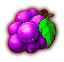 RG star777 老虎機一般符號-葡萄